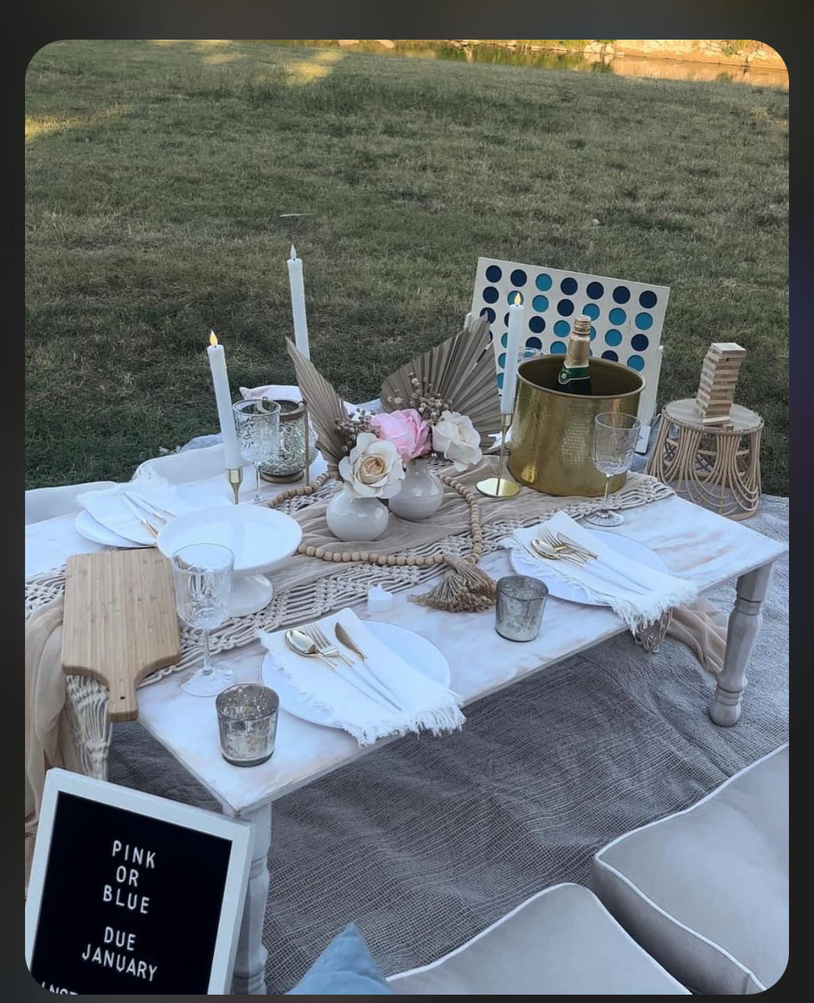 Luxury Picnic for 3 Guest